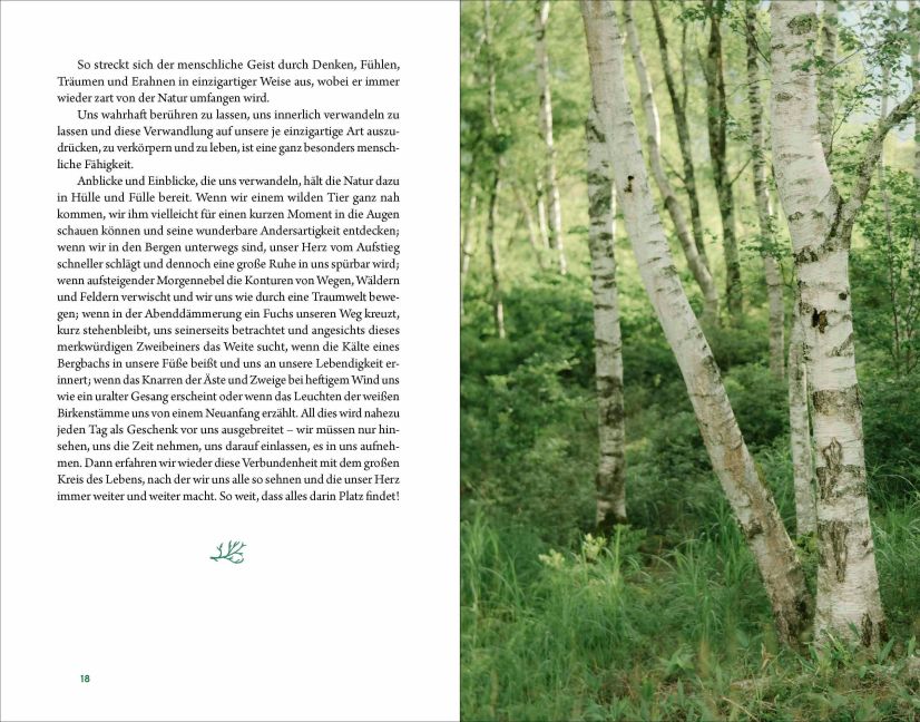 InsideView 7