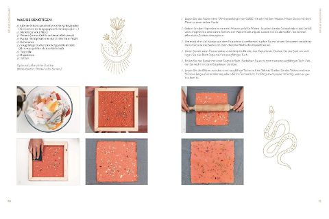 InsideView 6