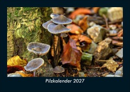 Cover-Bild zum Titel 'Pilzkalender 2027 Fotokalender DIN A5' von 'Tobias Schmitt, Kevin Heber'
