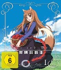 Cover-Bild zum Titel 'Spice & Wolf' von 'Naruhisa Arakawa, Ju Ayakura, Isuna Hasekura, Yuji Yoshino'