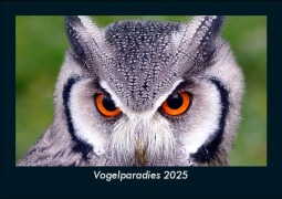 Cover-Bild zum Titel 'Vogelparadies 2025 Fotokalender DIN A5' von 'Tobias Becker'