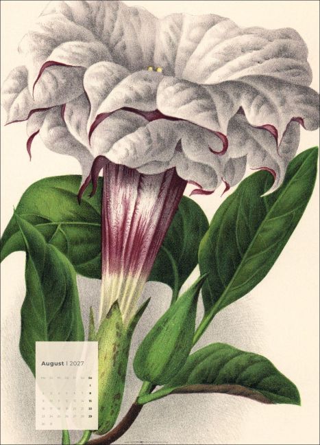 InsideView 8