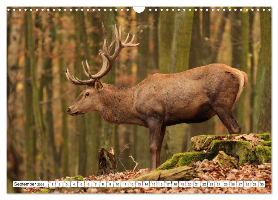 InsideView 14