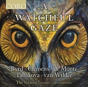 A Watchful Gaze - Harry/The Sixteen Christophers