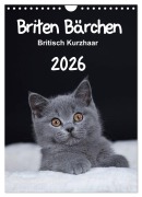 Briten Bärchen - Britisch Kurzhaar 2026 (Wandkalender 2026 DIN A4 hoch), CALVENDO Monatskalender - Heidi Bollich