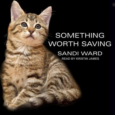 Something Worth Saving Lib/E - Sandi Ward