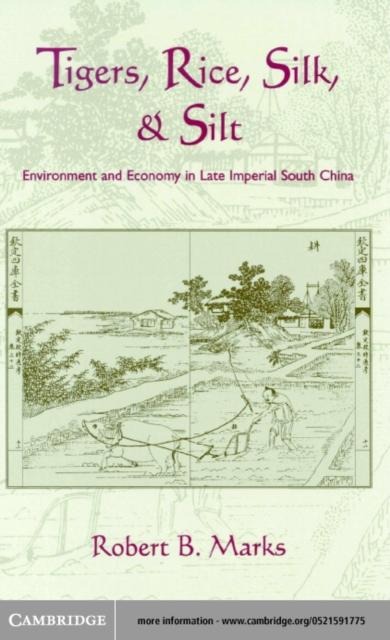 Tigers, Rice, Silk, and Silt - Robert Marks