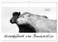 Islandpferde von Brimilsvellir (Wandkalender 2025 DIN A4 quer), CALVENDO Monatskalender - Jutta Albert