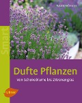 Cover-Bild zum Titel 'Dufte Pflanzen' von 'Natalie Faßmann'