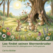 Cover-Bild zum Titel 'Leo findet seinen Sternenbruder' von 'Carina Büttler'