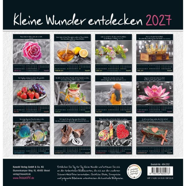 InsideView 13