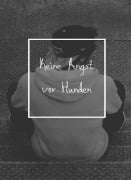 Cover-Bild zum Titel 'Angst vor Hunden bewältigen - Keine Angst vor Hunden.' von 'Otmar Trierweiler'