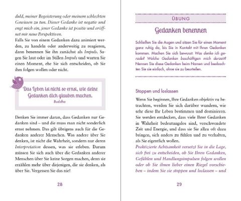 InsideView 3