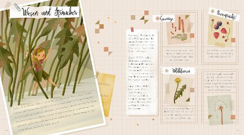 InsideView 13