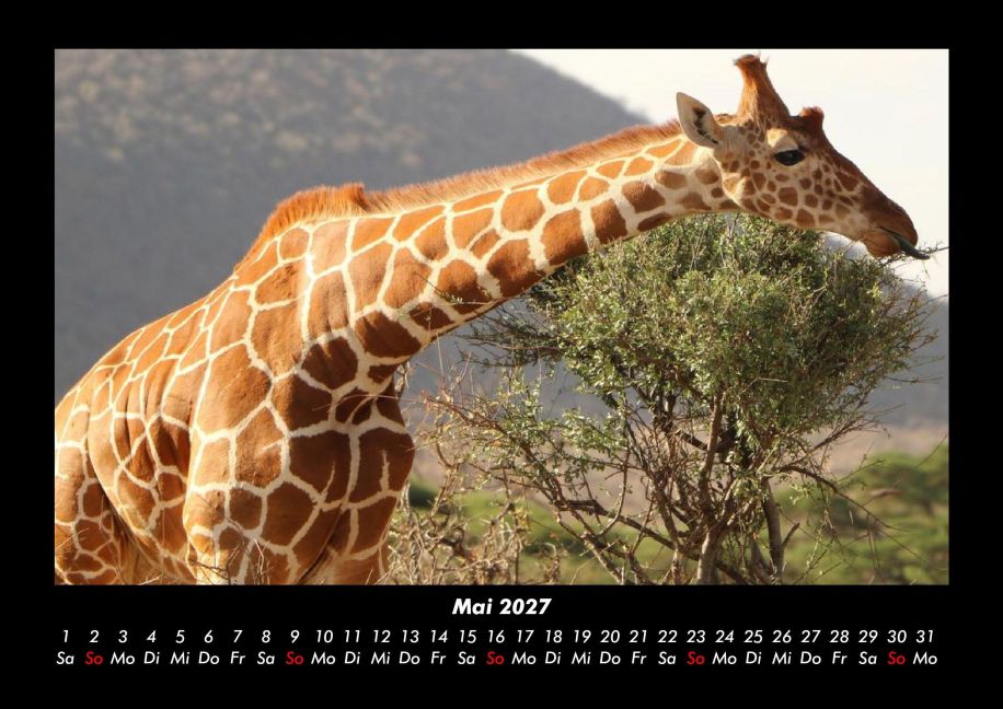 InsideView 9