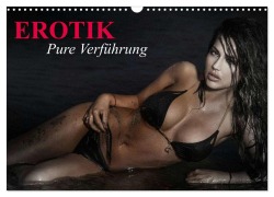 Cover-Bild zum Titel 'Erotik - Pure Verführung (Wandkalender 2026 DIN A3 quer), CALVENDO Monatskalender' von 'Elisabeth Stanzer'