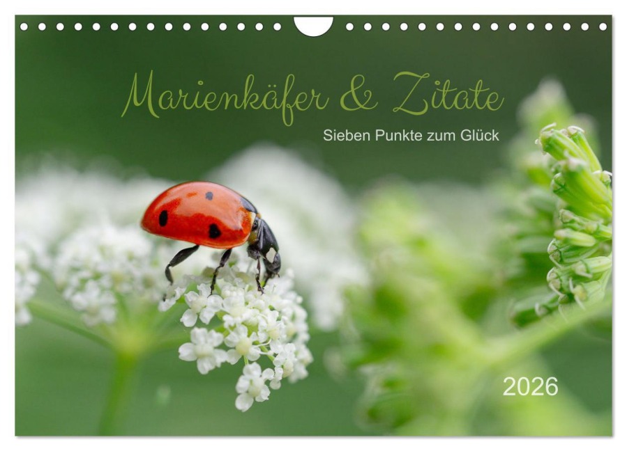 Marienkäfer & Zitate - Sieben Punkte zum Glück (Wandkalender 2026 DIN A4 quer), CALVENDO Monatskalender - Edith Nero Photography