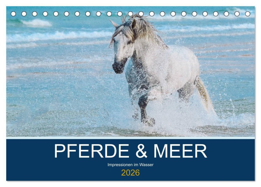 PFERDE & MEER (Tischkalender 2026 DIN A5 quer), CALVENDO Monatskalender - Petra Eckerl Tierfotografie