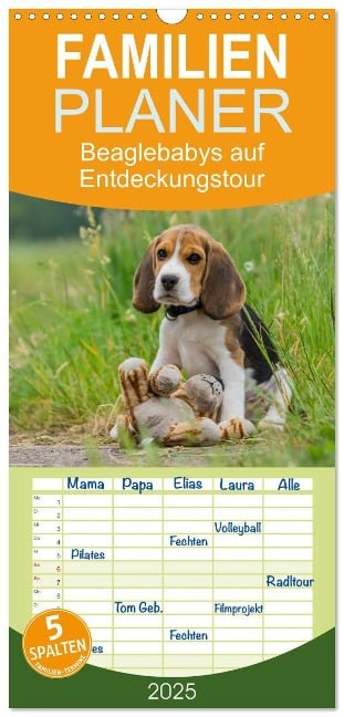 Familienplaner 2025 - Beaglebabys auf Entdeckungstour mit 5 Spalten (Wandkalender, 21 x 45 cm) CALVENDO - Sonja Teßen