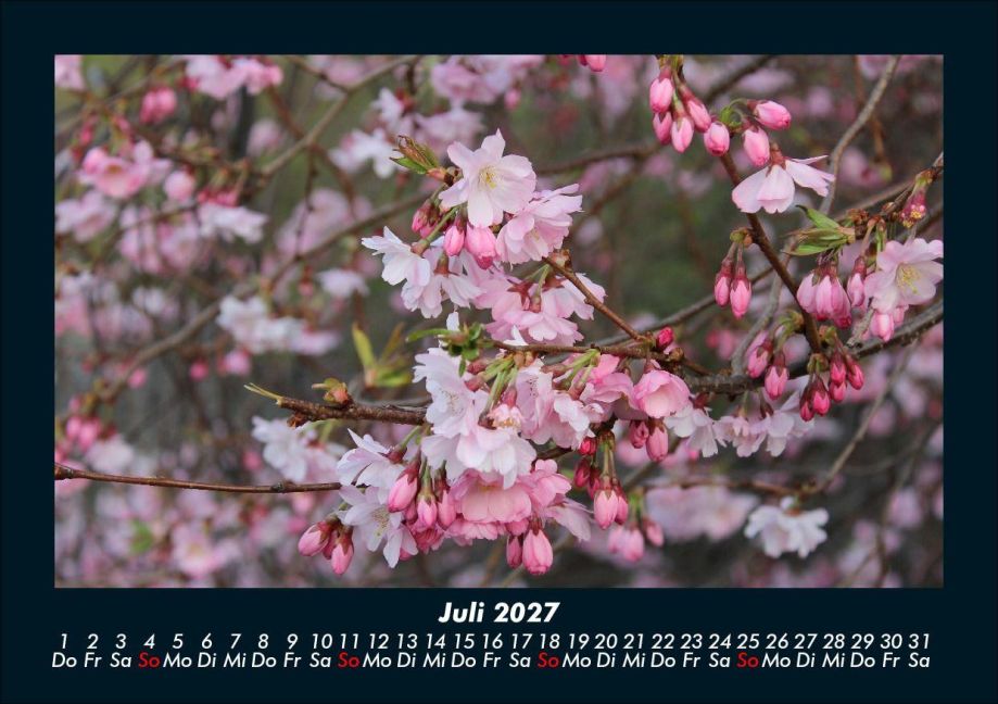 InsideView 11