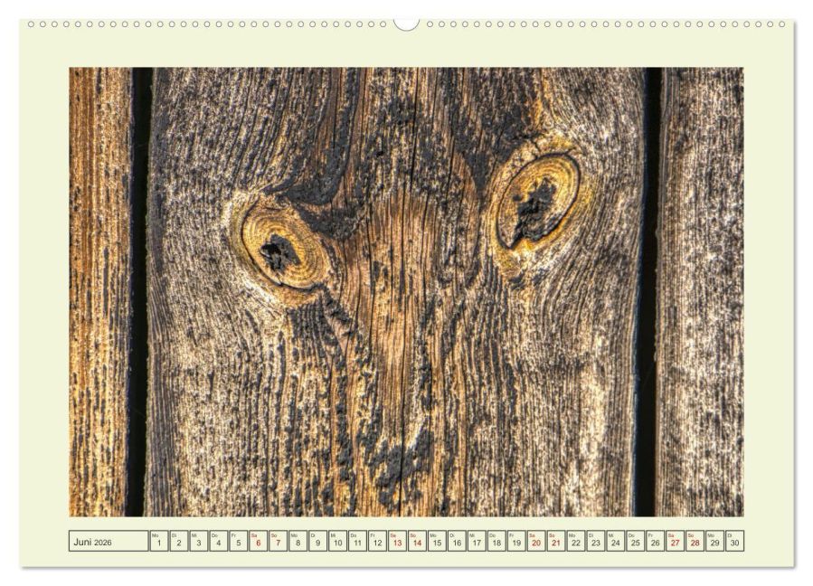 InsideView 11