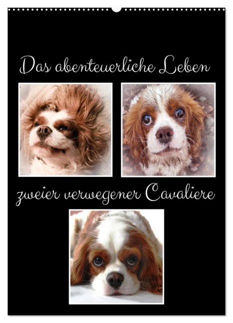 Das abenteuerliche Leben zweier verwegener Cavaliere (Wandkalender 2026 DIN A2 hoch), CALVENDO Monatskalender - Eva Ola Feix