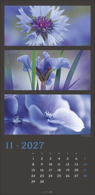 InsideView 11