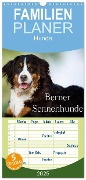 Familienplaner 2025 - Berner Sennenhunde mit 5 Spalten (Wandkalender, 21 x 45 cm) CALVENDO - Nicole Noack