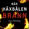 Cover-Bild zum Titel 'När häxbålen brann' von 'Lars Widding'
