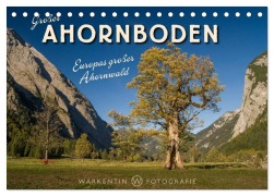 Cover-Bild zum Titel 'Großer Ahornboden - Europas großer Ahornwald (Tischkalender 2027 DIN A5 quer), CALVENDO Monatskalender' von 'Karl H. Warkentin'