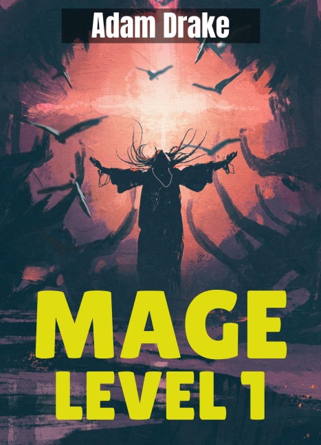Mage Level 1 (Mage Level Grind, #1) - Adam Drake