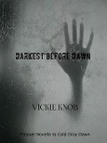 Darkest Before Dawn (Dawn Thriller Series) - Vickie Knob