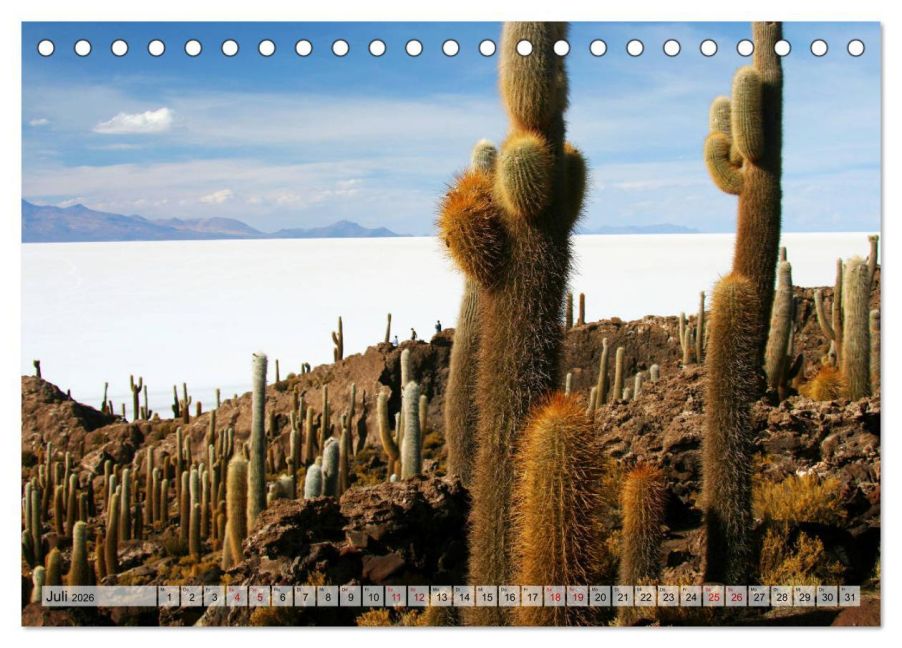 InsideView 12