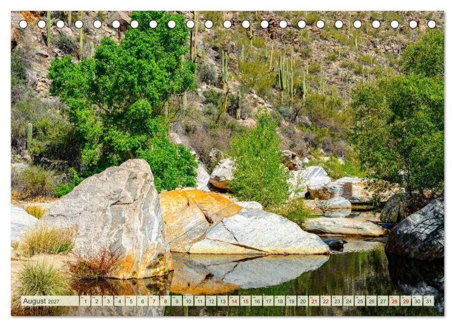 InsideView 13