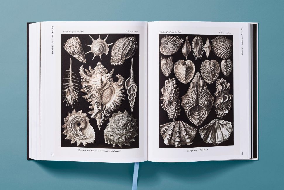 InsideView 21