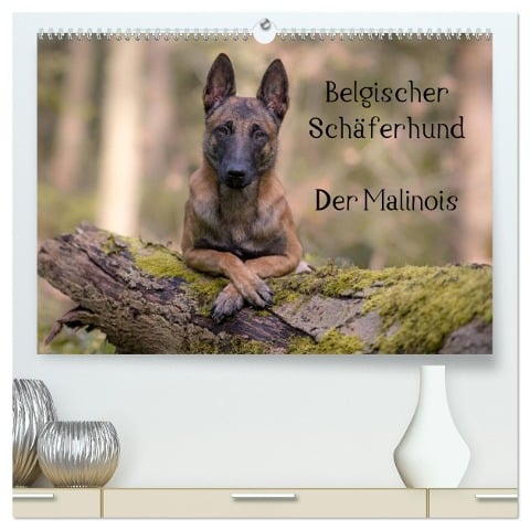 Belgischer Schäferhund - Der Malinois (hochwertiger Premium Wandkalender 2025 DIN A2 quer), Kunstdruck in Hochglanz - Tanja Brandt