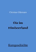 Cover-Bild zum Titel 'Ole im Himbeerland' von 'Christian Gläsmann'