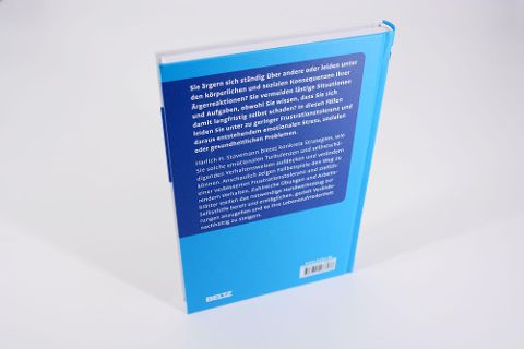 InsideView 2