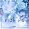 Cover-Bild zum Titel 'Slökun - Rigning' von 'Rasmus Broe'