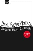 Cover-Bild zum Titel 'Das hier ist Wasser / This is water' von 'David Foster Wallace'