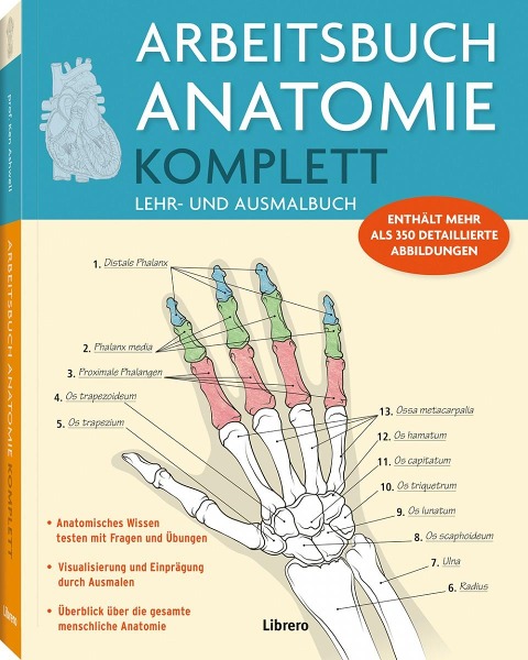 Arbeitsbuch Anatomie Komplett - P. Carter, K. Russel, Ken Ashwell
