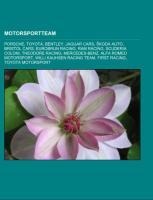 Motorsportteam - 
