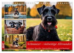 Cover-Bild zum Titel 'Schnauzer - vielseitige Allrounder (Wandkalender 2027 DIN A4 quer), CALVENDO Monatskalender' von 'Claudia Kleemann'