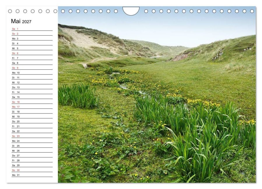 InsideView 10