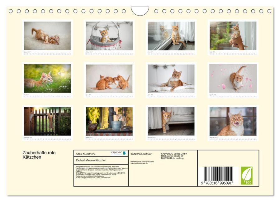 InsideView 5