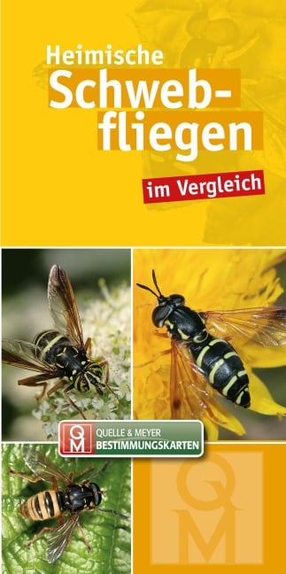 Heimische Schwebfliegen im Vergleich - 