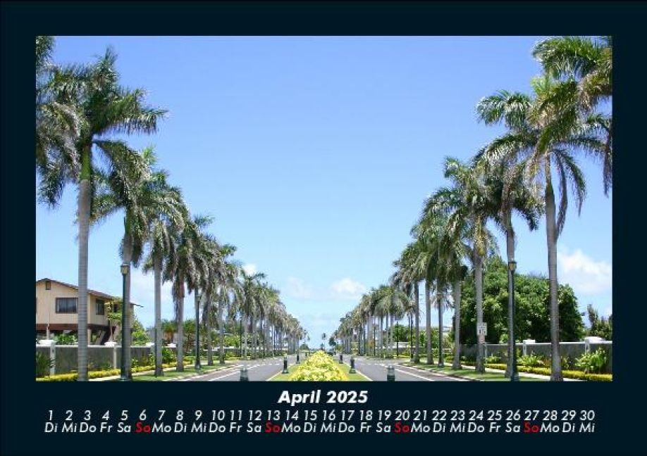 InsideView 8