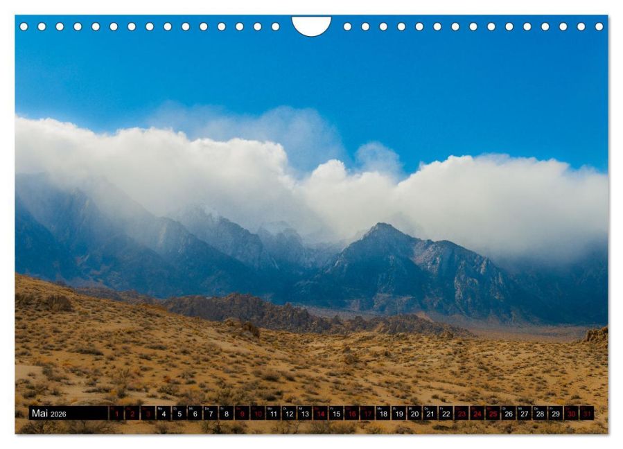 InsideView 10
