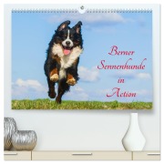 Cover-Bild zum Titel 'Berner Sennenhunde in Action (hochwertiger Premium Wandkalender 2026 DIN A2 quer), Kunstdruck in Hochglanz' von 'Sigrid Starick'