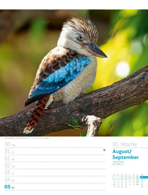 InsideView 39